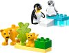 10442 LEGO® DUPLO® Állatcsaládok a vadvilágban: Pingvinek és oroszlánok