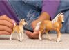 Schleich® Horse Club 13951 Haflingi csikó